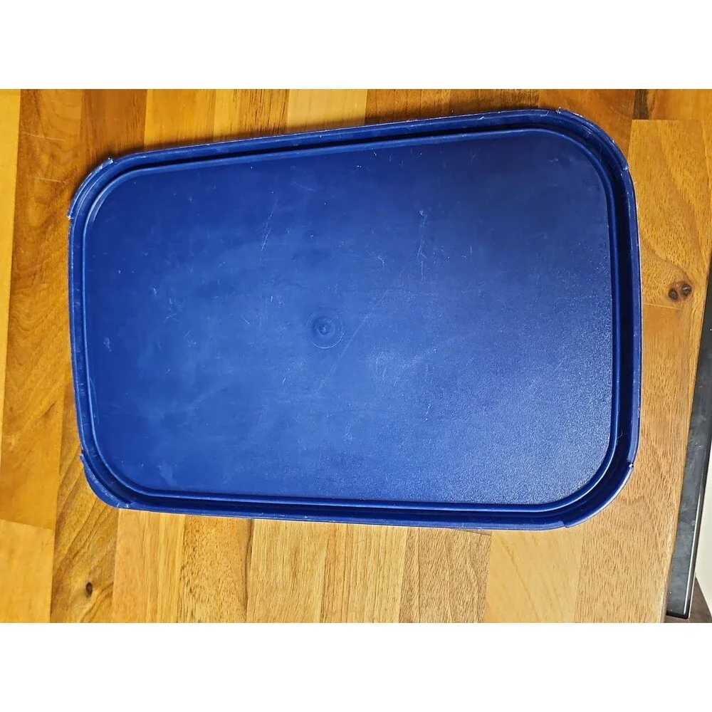 Tupperware Modular Mates #2 Container #1609 w/ Blue Lid #1610, 18 Cup, 4.3 Litre